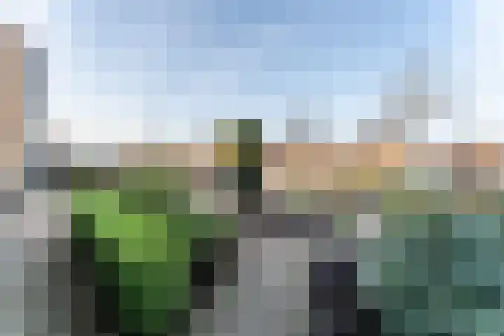 Eikenlaan 105 Scherpenzeel foto 3