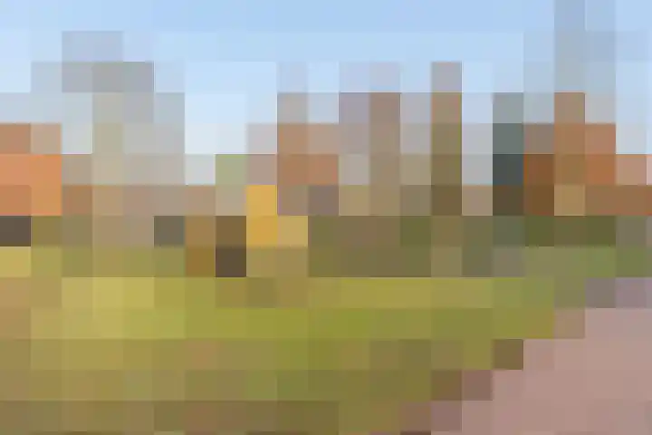 Eikenlaan 105 Scherpenzeel thumbnail 47