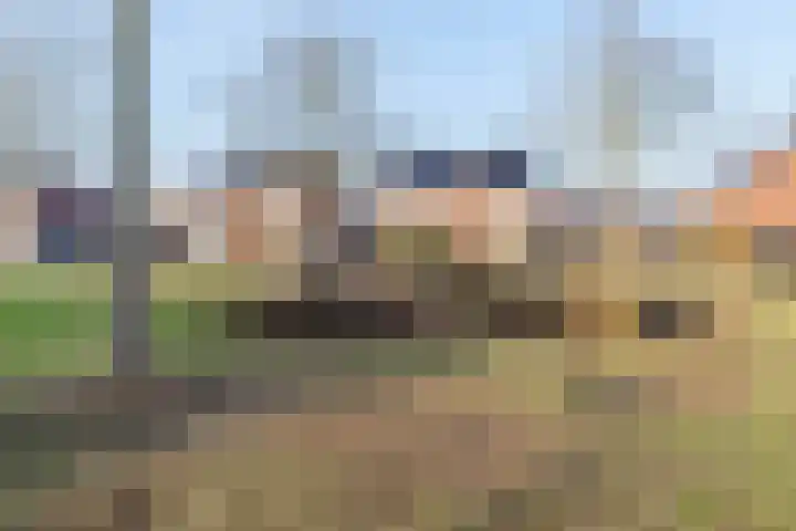 Eikenlaan 105 Scherpenzeel thumbnail 48