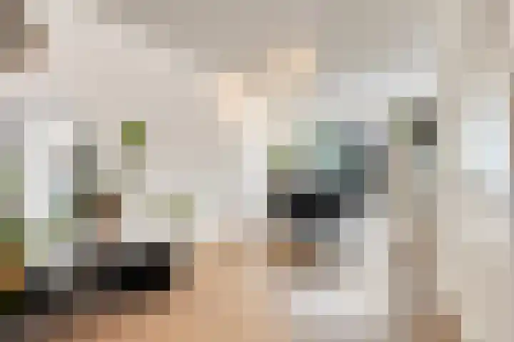 Eikenlaan 11 Beek en Donk thumbnail 13