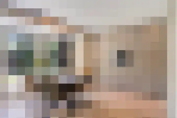 Eikenlaan 11 Beek en Donk thumbnail 19