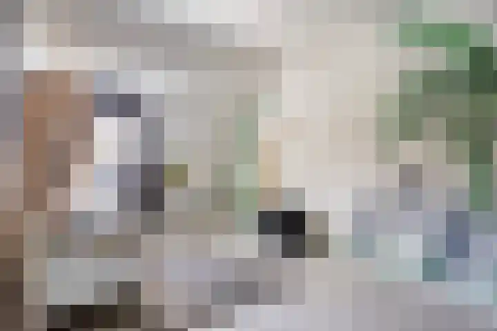Eikenlaan 11 Beek en Donk thumbnail 28