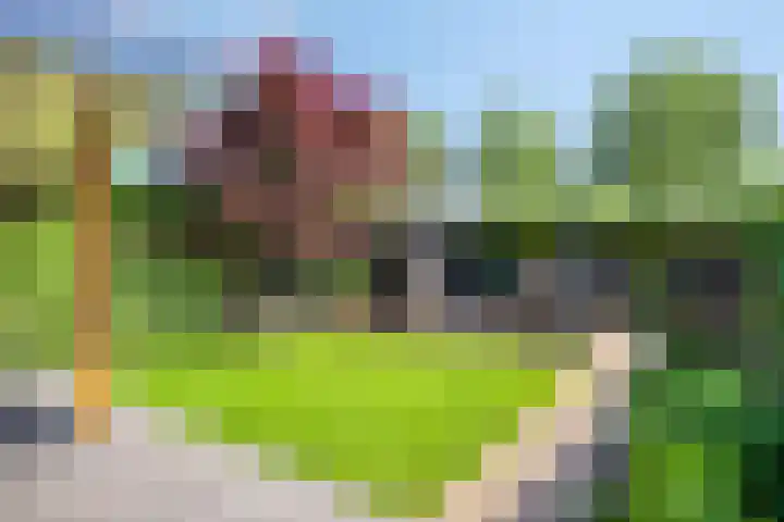 Eikenlaan 11 Beek en Donk thumbnail 35