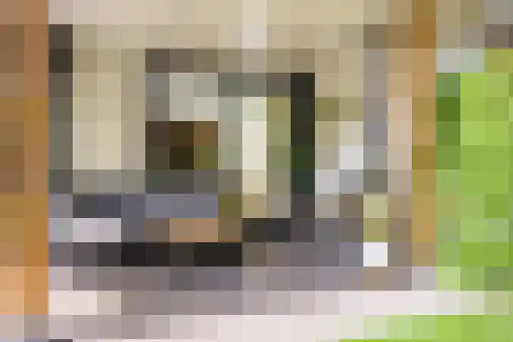 Eikenlaan 11 Beek en Donk thumbnail 38