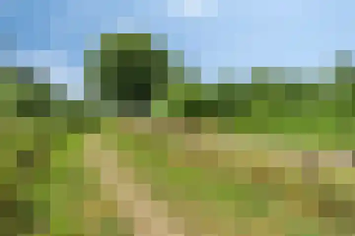 Eikenlaan 11 Beek en Donk thumbnail 40