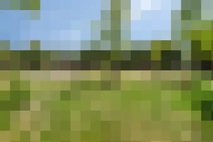 Eikenlaan 11 Beek en Donk thumbnail 41