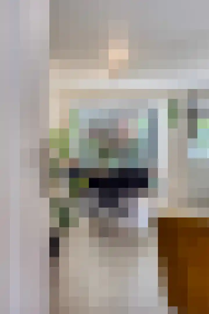 Eikenlaan 11 Beek en Donk thumbnail 8