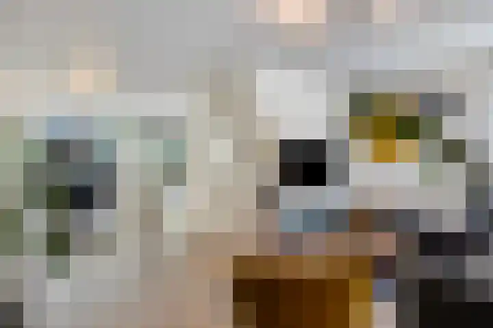 Eikenlaan 11 Beek en Donk thumbnail 9
