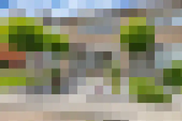 Eikenlaan 11 Meeden
