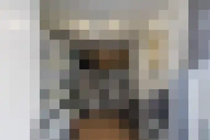Eikenlaan 11 Meeden thumbnail 13