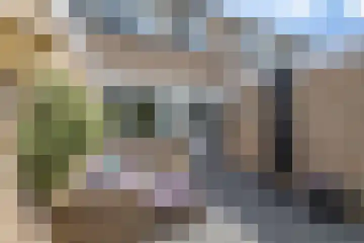 Eikenlaan 11 Meeden foto 3