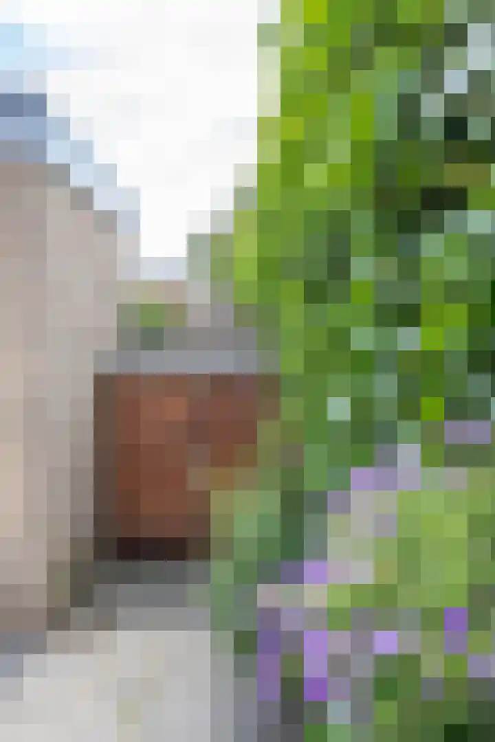 Eikenlaan 11 Meeden thumbnail 30
