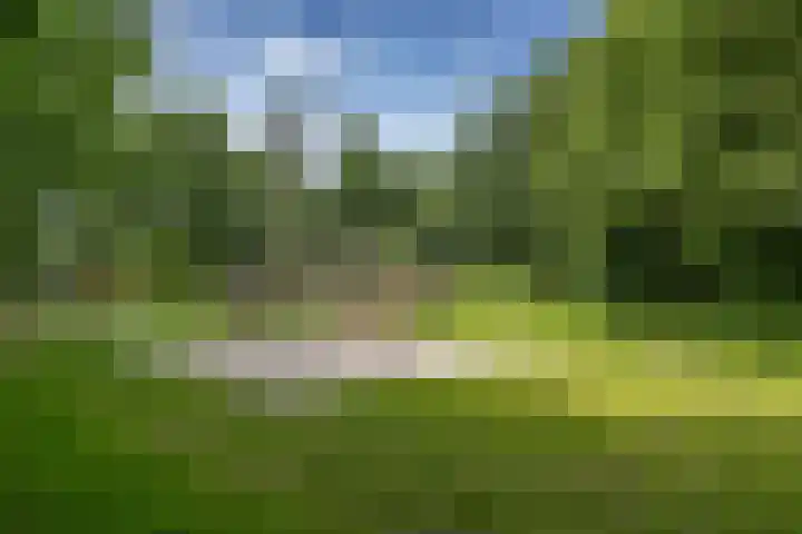 Eikenlaan 11 Meeden thumbnail 31