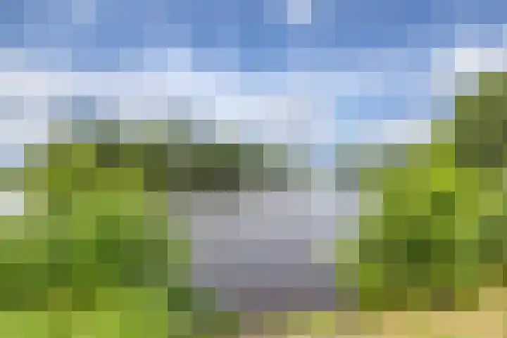 Eikenlaan 11 Meeden thumbnail 32
