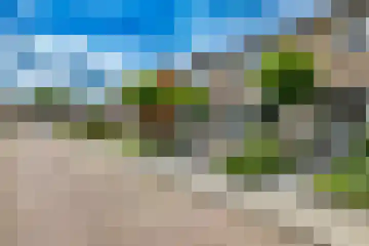 Eikenlaan 11 Meeden thumbnail 4