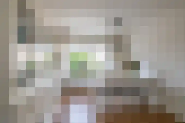 Eikenlaan 11 Meeden thumbnail 9