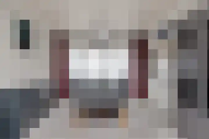 Eikenlaan 11 Middenmeer thumbnail 10