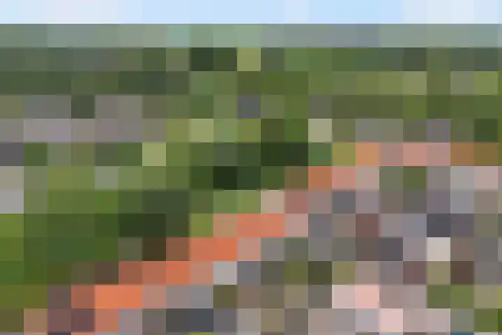 Eikenlaan 11 Middenmeer thumbnail 31
