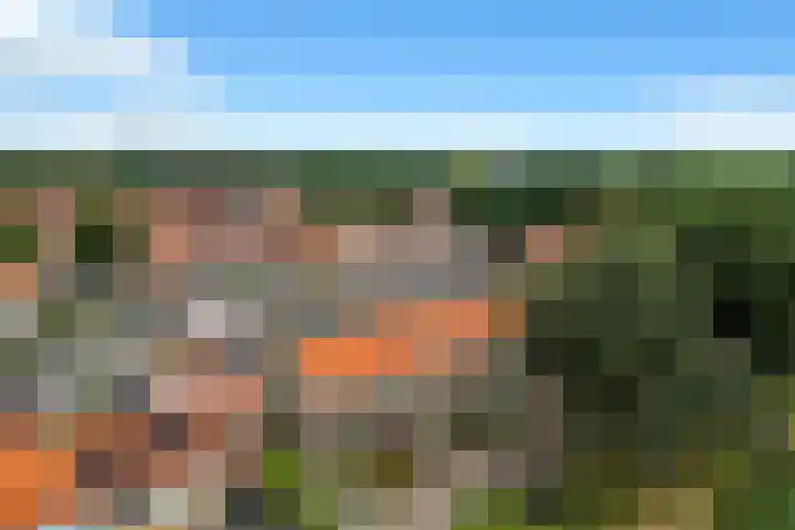 Eikenlaan 11 Middenmeer thumbnail 32