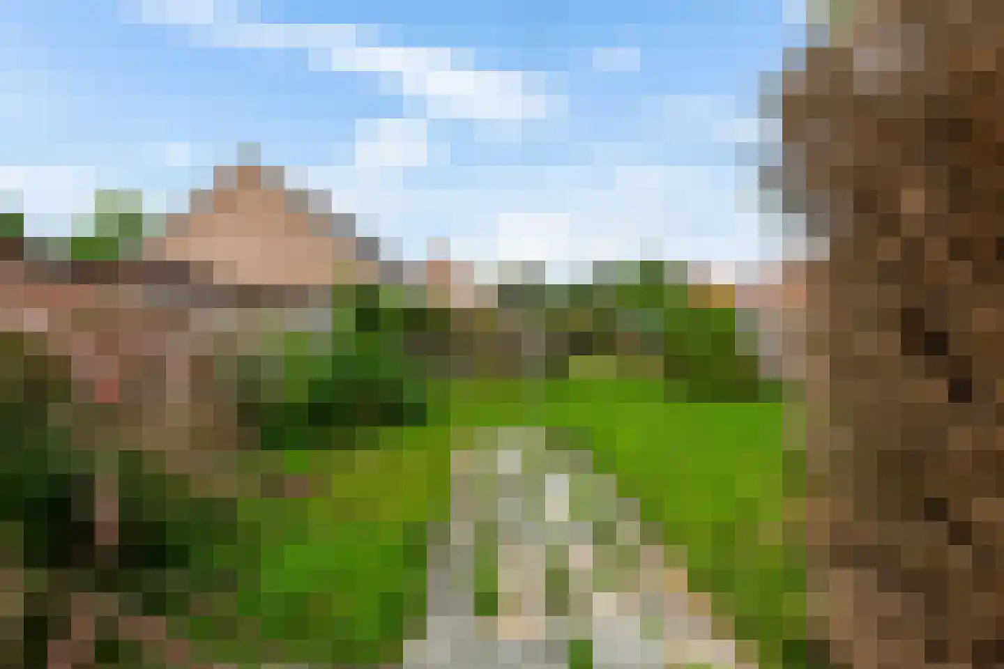 Eikenlaan 11 Zuidbroek thumbnail 6
