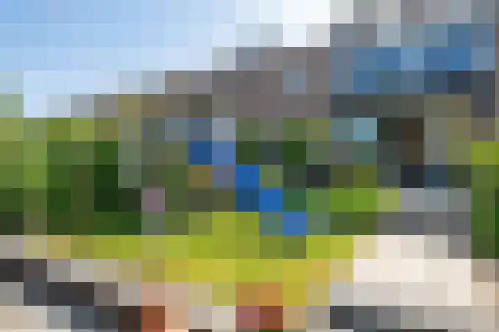Eikenlaan 110 Hillegom thumbnail 17