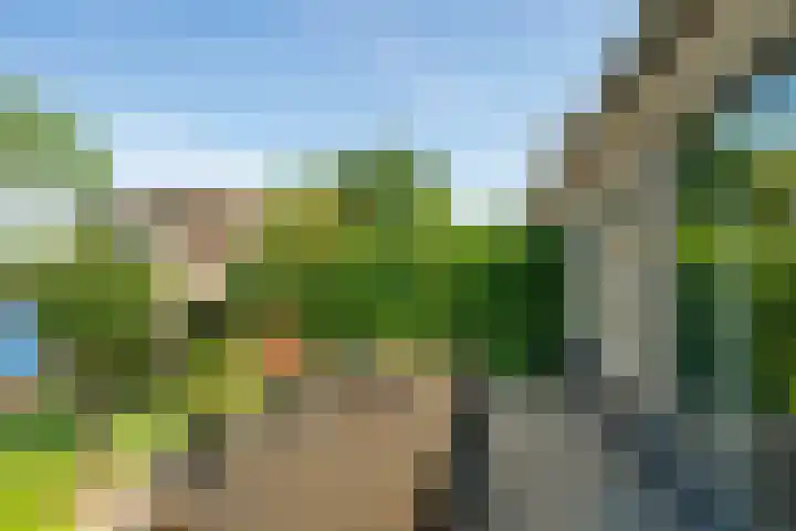 Eikenlaan 110 Hillegom thumbnail 19