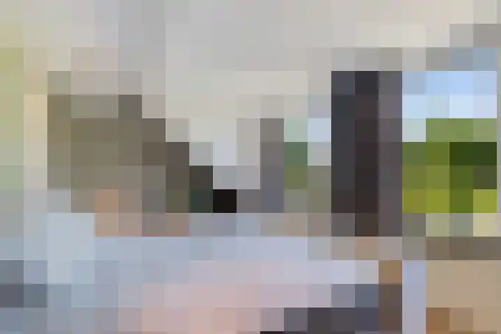 Eikenlaan 110 Hillegom thumbnail 23