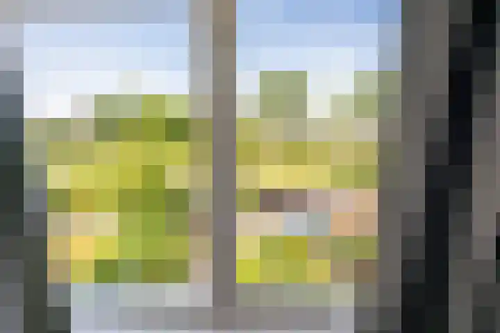 Eikenlaan 110 Hillegom thumbnail 26