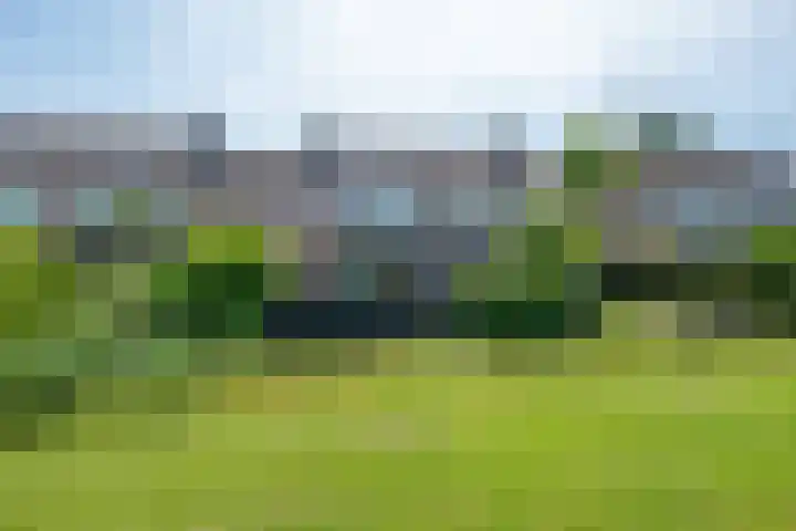 Eikenlaan 110 Hillegom foto 3