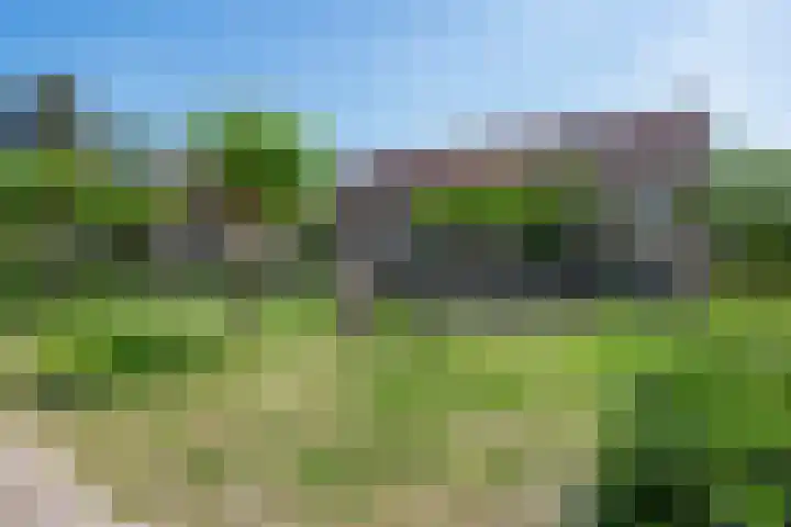 Eikenlaan 110 Hillegom thumbnail 47