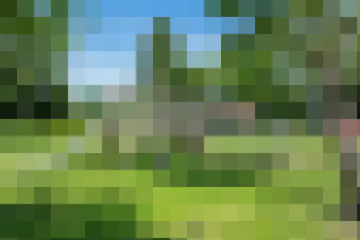 Eikenlaan 110 Hillegom thumbnail 48