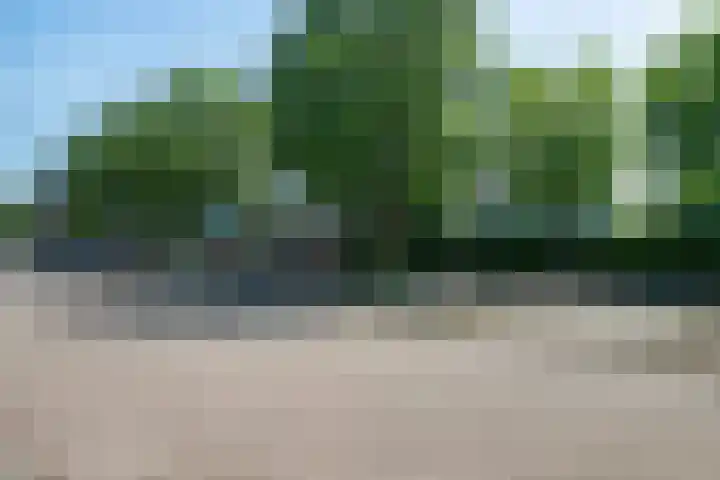 Eikenlaan 110 Hillegom thumbnail 49