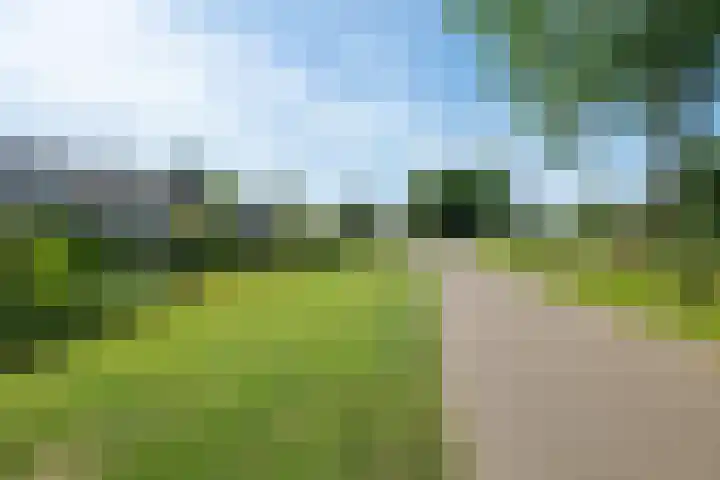 Eikenlaan 110 Hillegom thumbnail 50