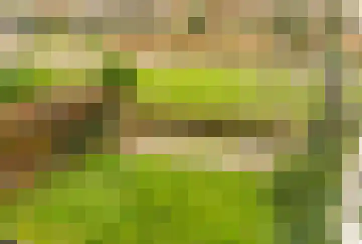 Eikenlaan 112 Hillegom thumbnail 29