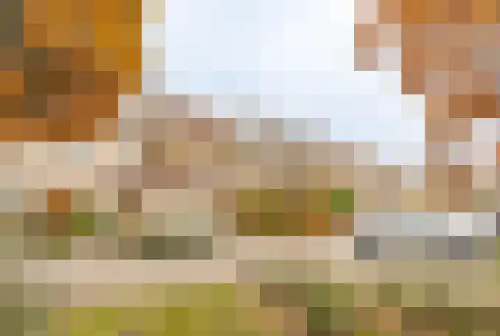 Eikenlaan 112 Hillegom thumbnail 38