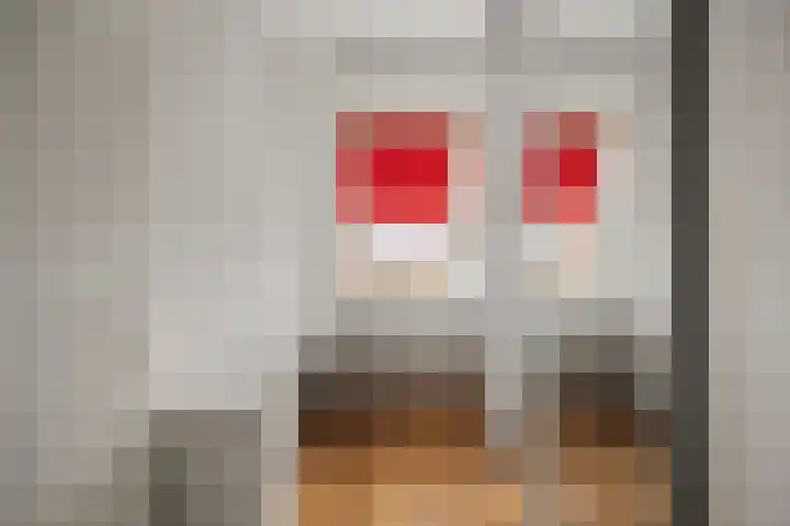Eikenlaan 117 's-Gravenzande thumbnail 37