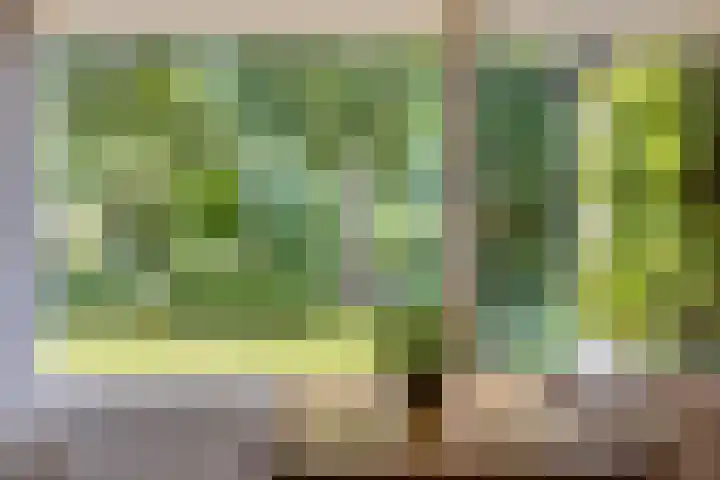 Eikenlaan 12 Borculo thumbnail 16