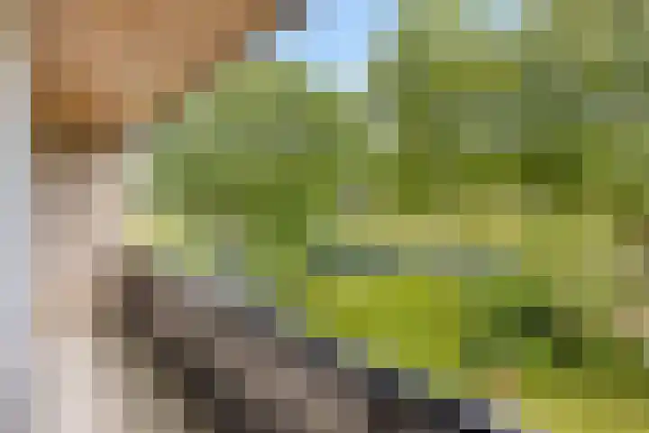 Eikenlaan 12 Borculo thumbnail 30