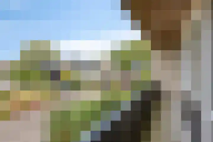 Eikenlaan 12 Borculo thumbnail 32