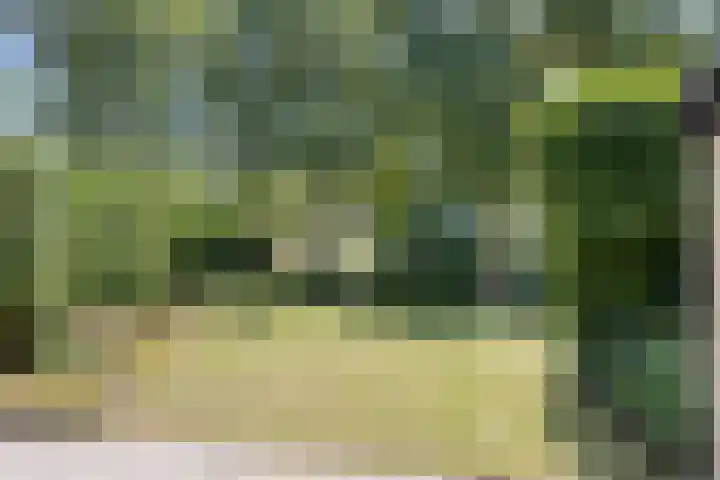 Eikenlaan 12 Borculo thumbnail 37