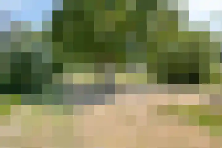 Eikenlaan 12 Borculo thumbnail 38