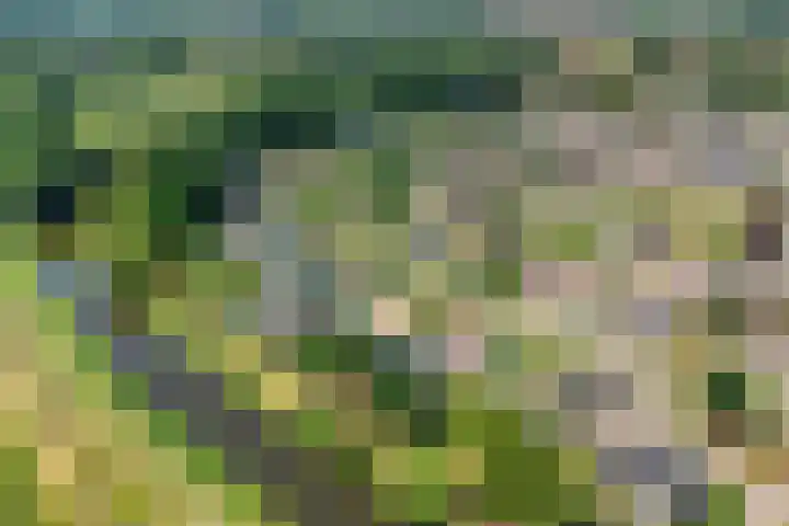 Eikenlaan 12 Borculo thumbnail 4