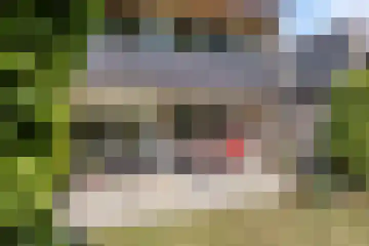 Eikenlaan 12 Borculo thumbnail 40