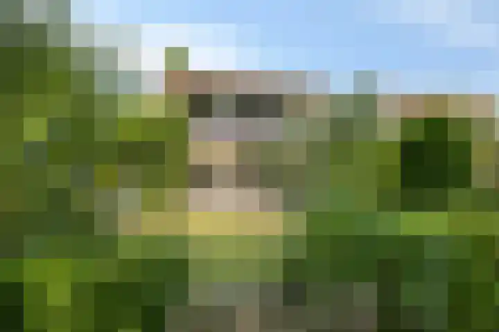 Eikenlaan 12 Borculo thumbnail 8