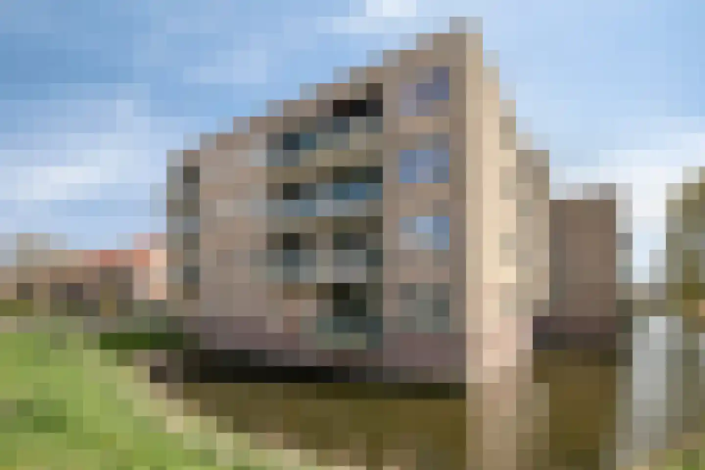 Eikenlaan 12 Hillegom thumbnail 26