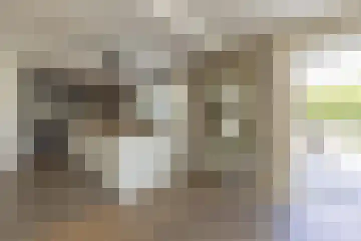 Eikenlaan 12 Sint-Michielsgestel thumbnail 14