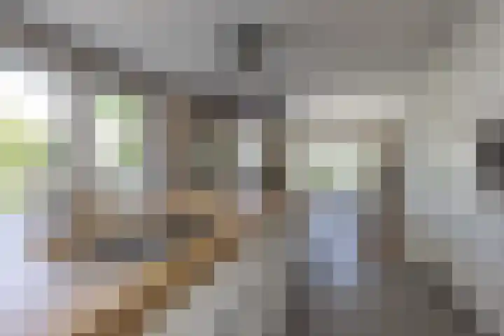 Eikenlaan 12 Sint-Michielsgestel thumbnail 15