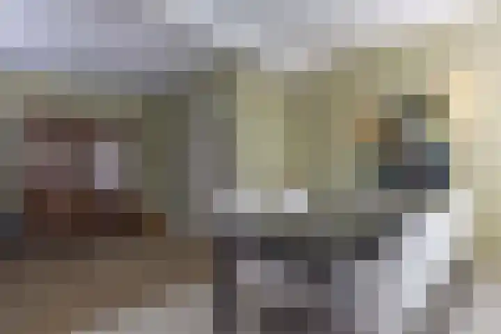 Eikenlaan 12 Sint-Michielsgestel thumbnail 18