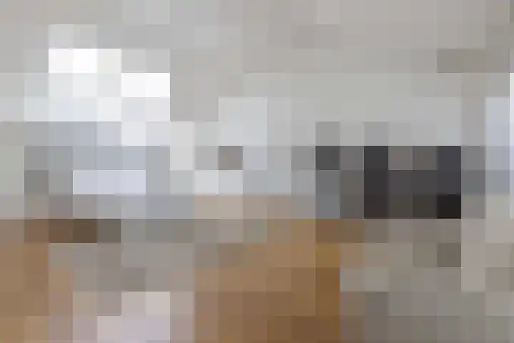 Eikenlaan 12 Sint-Michielsgestel thumbnail 25