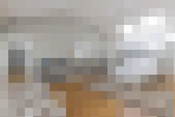 Eikenlaan 12 Sint-Michielsgestel thumbnail 27